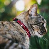 Cat Collar Breakaway - Mossy Oak Elements Anemone Agua Camo Pink - Buckle-Down - Flyclothing LLC