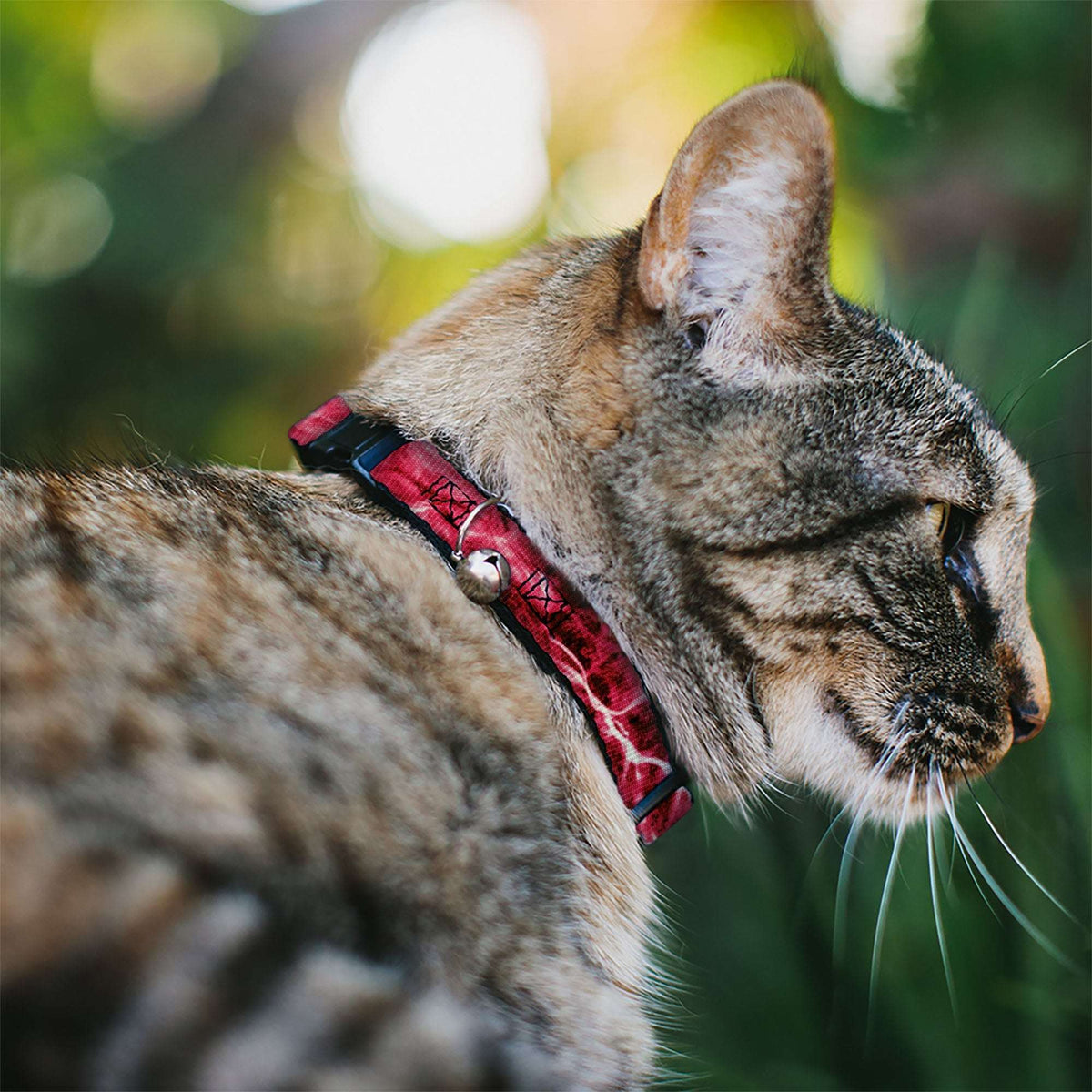 Cat Collar Breakaway - Mossy Oak Elements Anemone Agua Camo Pink - Buckle-Down - Flyclothing LLC