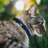 Cat Collar Breakaway - Mossy Oak Elements Marlin Agua Camo Blue - Buckle-Down - Flyclothing LLC