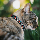 Breakaway Cat Collar with Bell - South Park Cartman Pants KISS MY ASS Pose Black/White