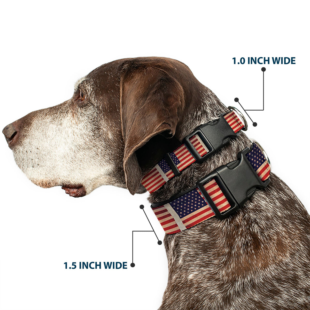 Plastic Clip Collar - American Flag Weathered Color Repeat - Buckle-Down - Flyclothing LLC