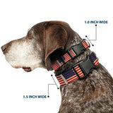 Plastic Clip Collar - American Flag Weathered Color Repeat - Buckle-Down - Flyclothing LLC