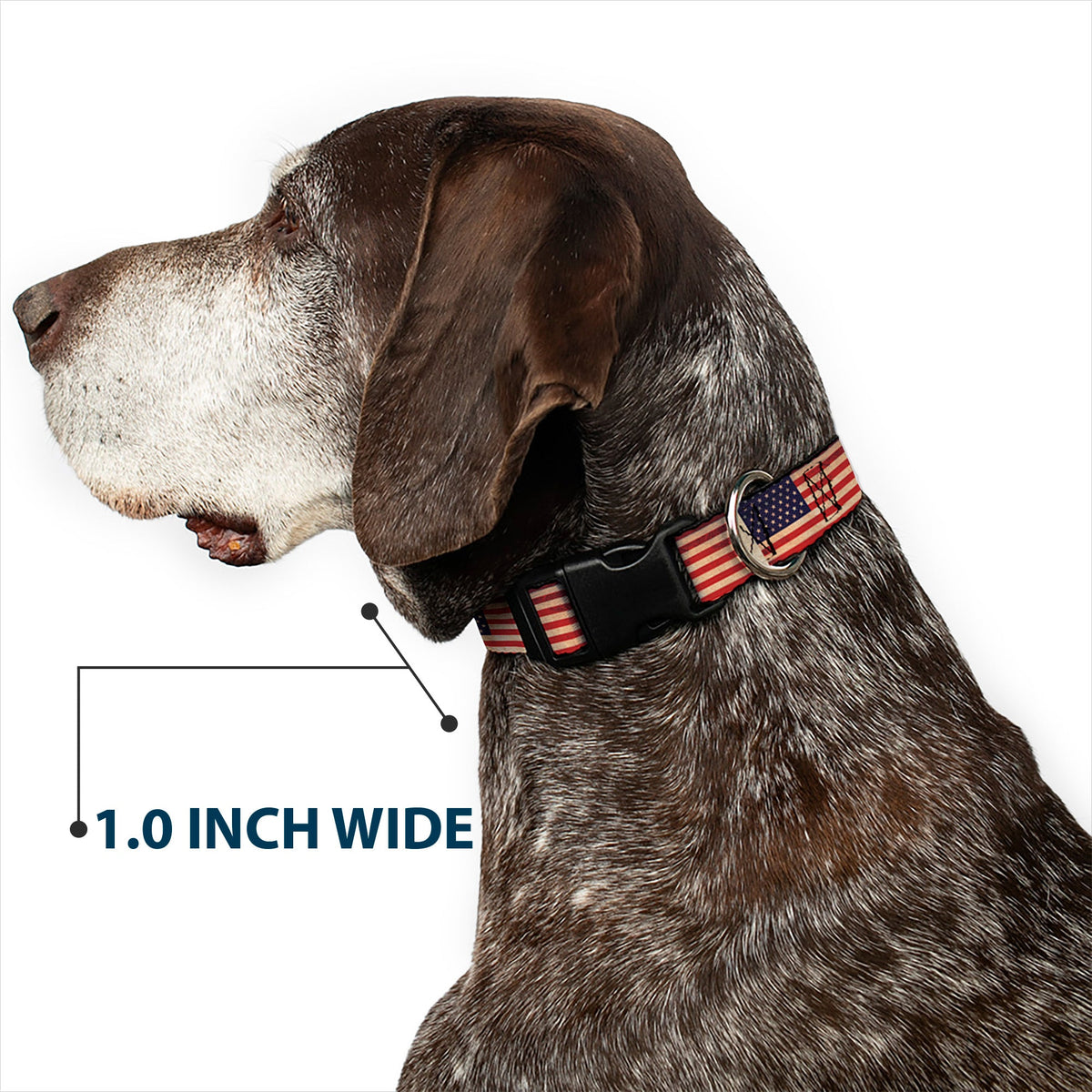 Plastic Clip Collar - American Flag Weathered Color Repeat - Buckle-Down - Flyclothing LLC