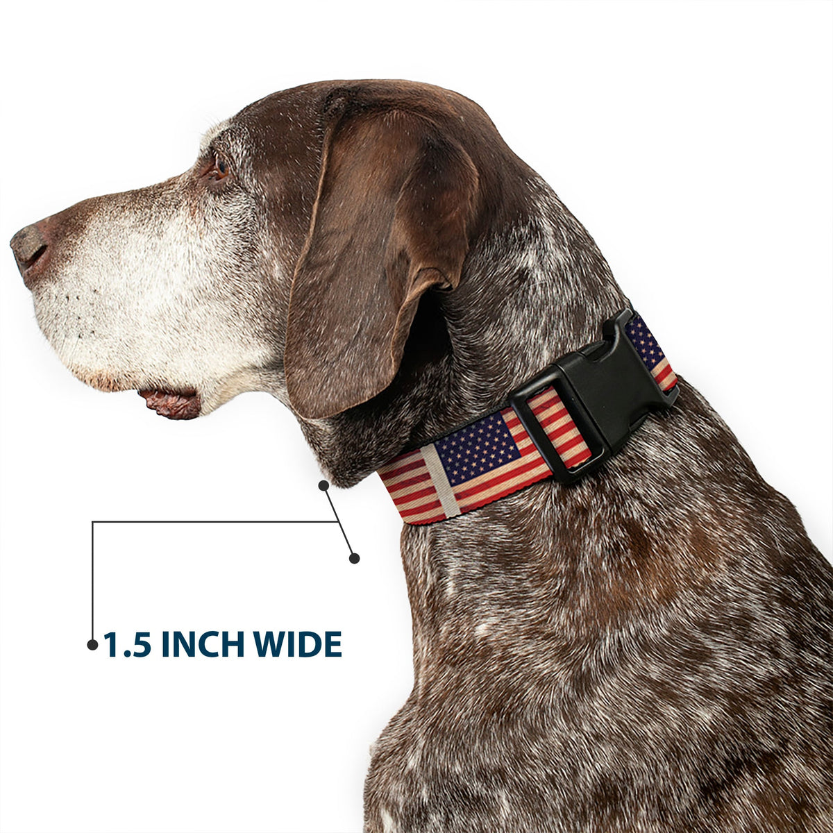 Plastic Clip Collar - American Flag Weathered Color Repeat - Buckle-Down - Flyclothing LLC