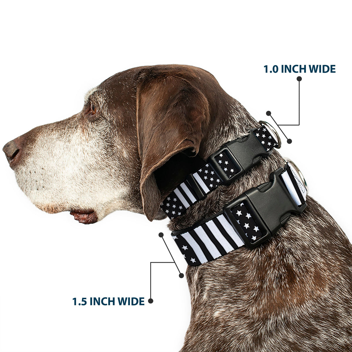 Plastic Clip Collar - American Flag CLOSE-UP Black/White - Buckle-Down - Flyclothing LLC