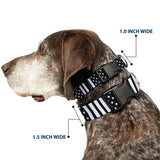 Plastic Clip Collar - American Flag CLOSE-UP Black/White - Buckle-Down - Flyclothing LLC