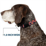 Plastic Clip Collar - Americana Stars & Stripes Red/White/Blue/White - Buckle-Down - Flyclothing LLC