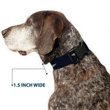 Plastic Clip Collar - American Flag Vivid Stars CLOSE-UP Blue/White