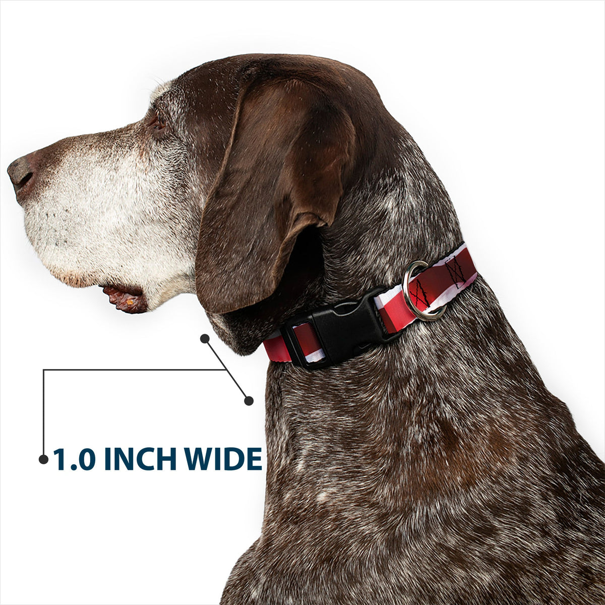 Plastic Clip Collar - American Flag Vivid Stripes CLOSE-UP Red/White
