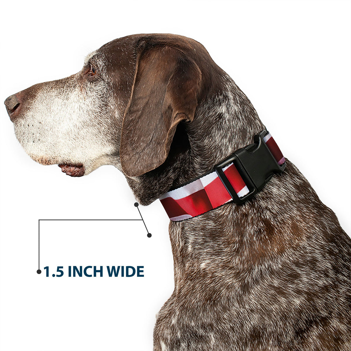 Plastic Clip Collar - American Flag Vivid Stripes CLOSE-UP Red/White