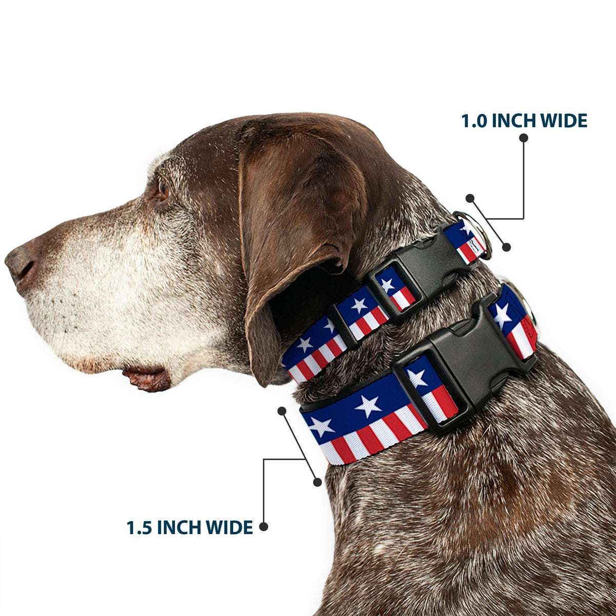 Plastic Clip Collar - Americana Stars & Stripes2 Blue/White/Red/White - Buckle-Down - Flyclothing LLC