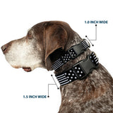 Plastic Clip Collar - Americana Stars & Stripes2 Black/White - Buckle-Down - Flyclothing LLC