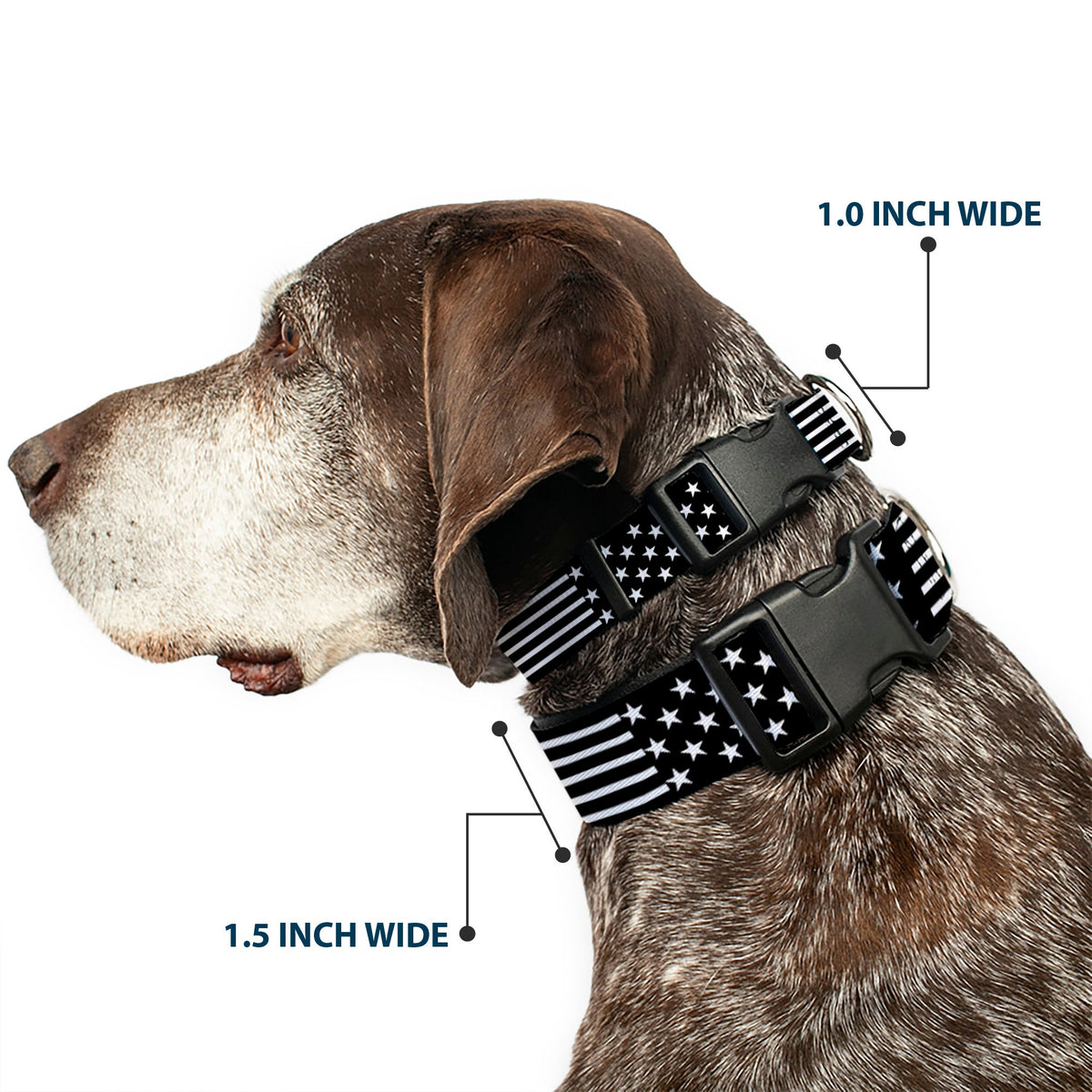 Plastic Clip Collar - Americana Stars & Stripes2 Black/White - Buckle-Down - Flyclothing LLC