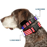 Plastic Clip Collar - Americana Stars & Stripes3 Red/White/Blue - Buckle-Down - Flyclothing LLC