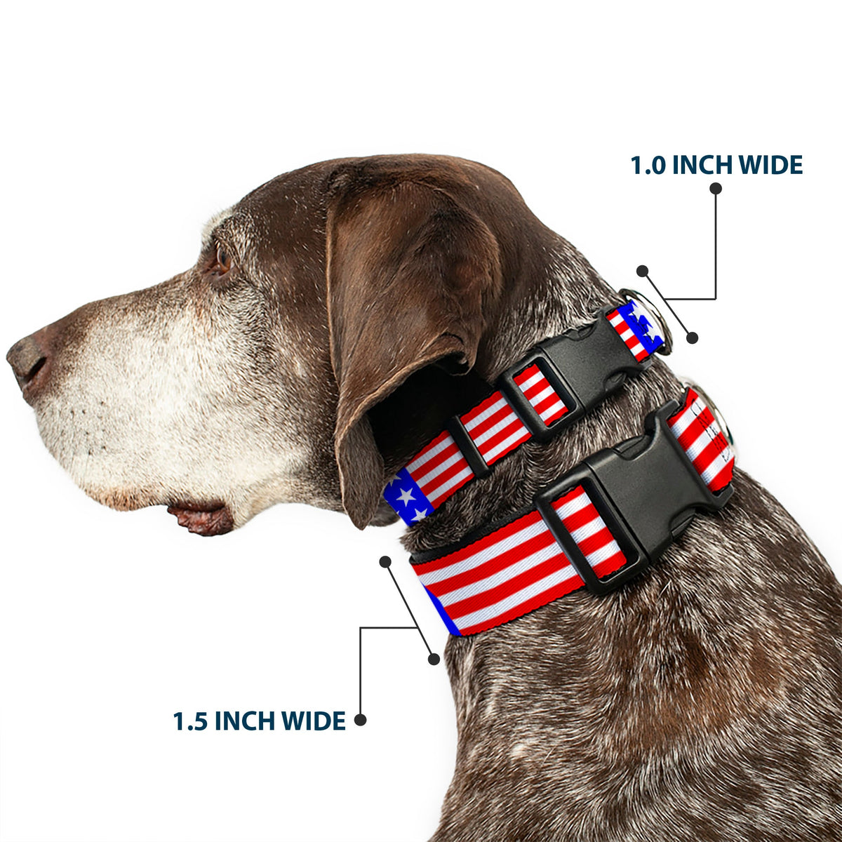 Plastic Clip Collar - Americana Stars & Stripes3 Red/White/Blue - Buckle-Down - Flyclothing LLC