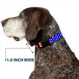 Plastic Clip Collar - Americana Stars & Stripes3 Red/White/Blue - Buckle-Down - Flyclothing LLC