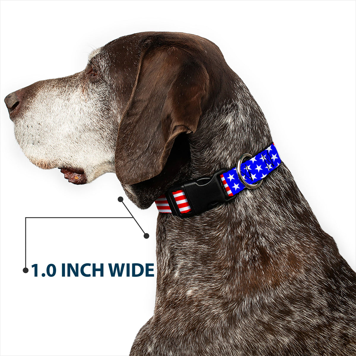 Plastic Clip Collar - Americana Stars & Stripes3 Red/White/Blue - Buckle-Down - Flyclothing LLC