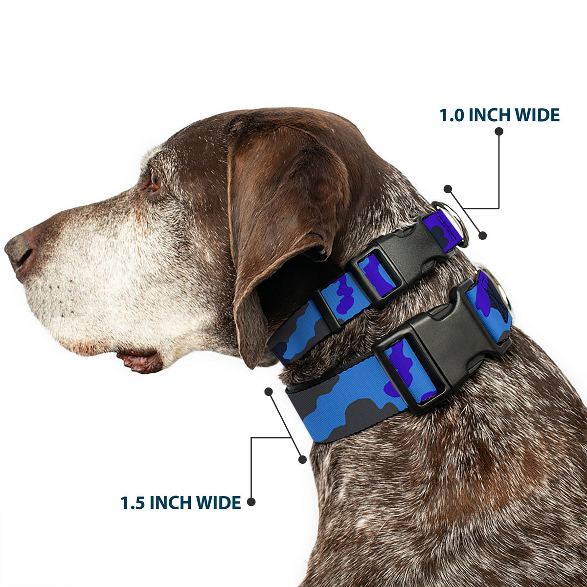 Plastic Clip Collar - Camo Blue - Buckle-Down - Flyclothing LLC