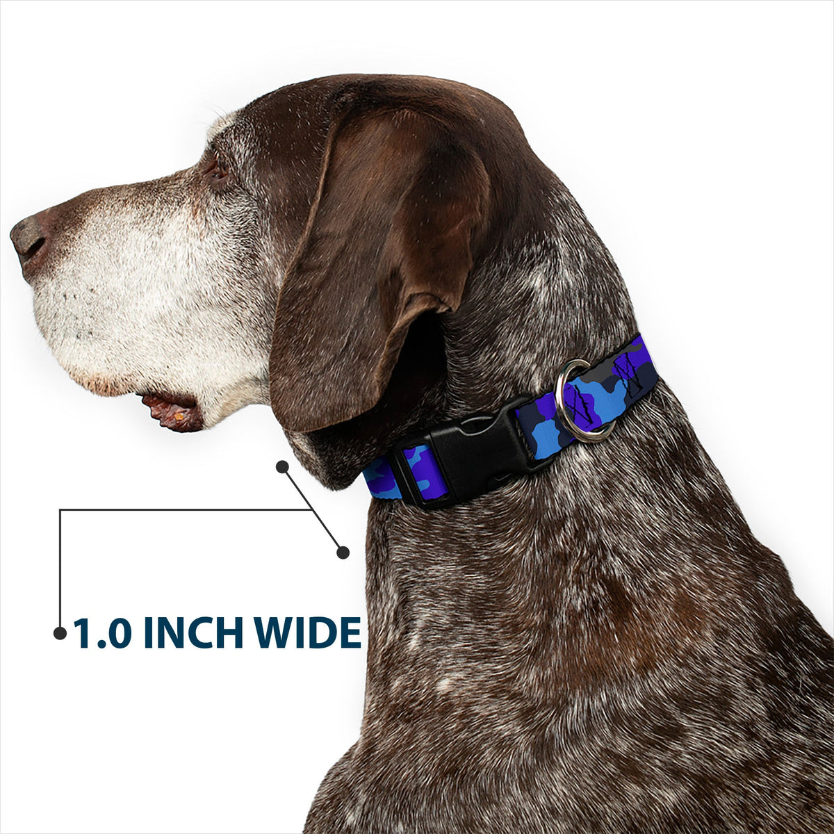 Plastic Clip Collar - Camo Blue - Buckle-Down - Flyclothing LLC