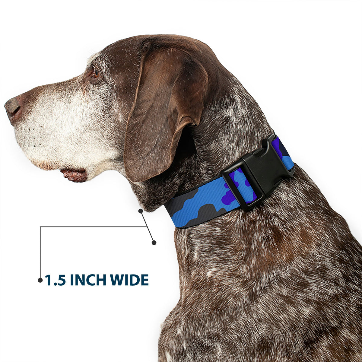 Plastic Clip Collar - Camo Blue - Buckle-Down - Flyclothing LLC