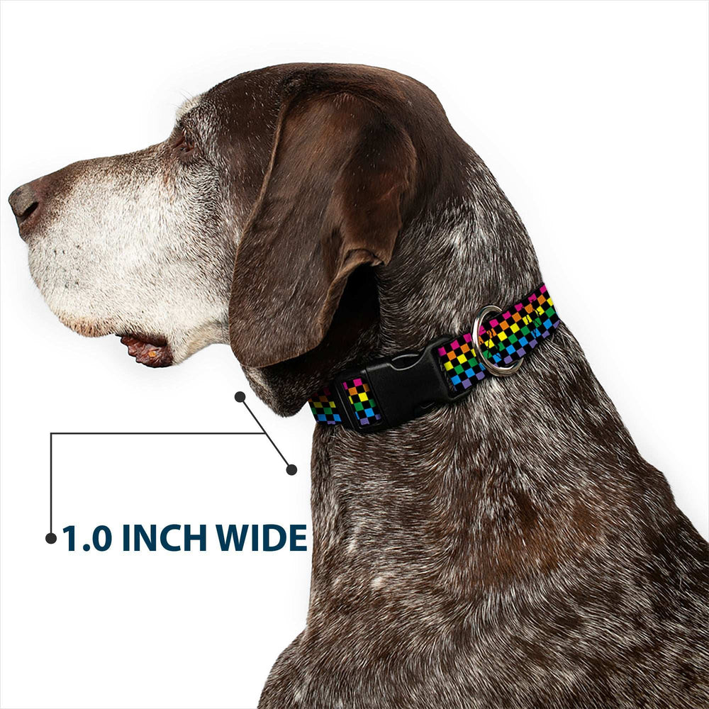 Plastic Clip Collar - Checker Black/Neon Rainbow - Buckle-Down - Flyclothing LLC