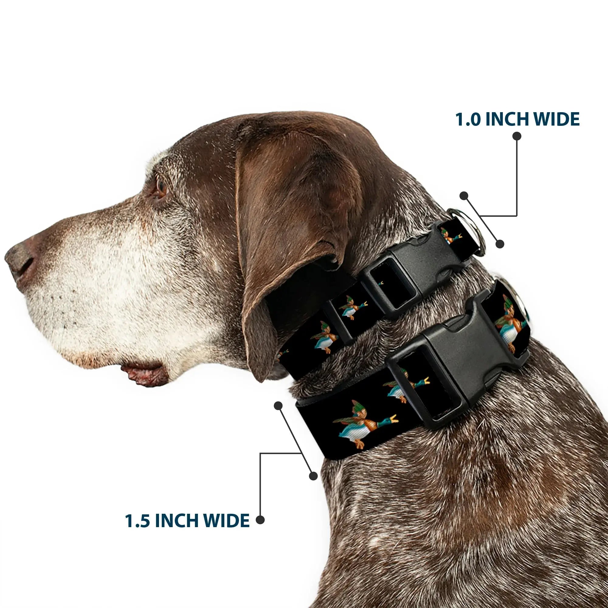 Plastic Clip Collar - Flying Mallards Black - Buckle-Down - Flyclothing LLC
