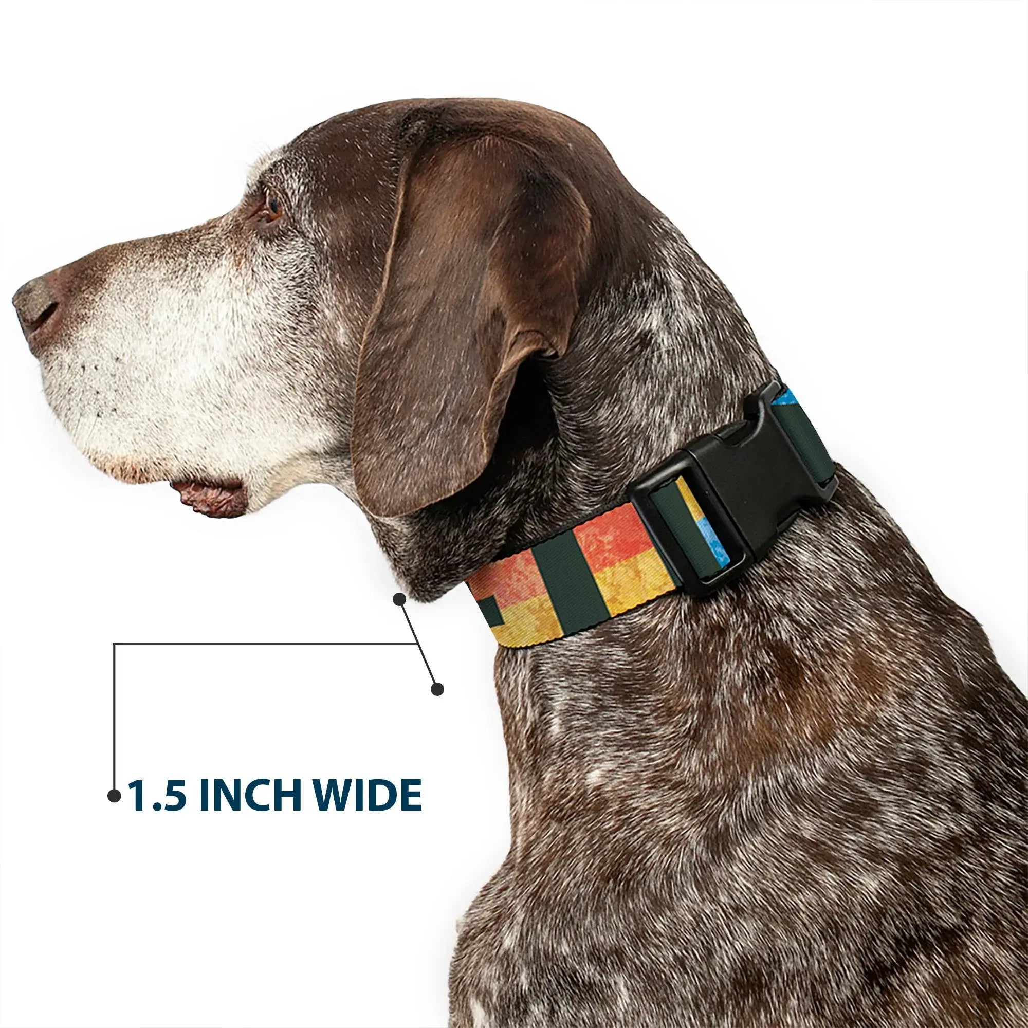 Plastic Clip Collar - Geometric8 Charcoal/Orange/Gold/Blue - Buckle-Down - Flyclothing LLC