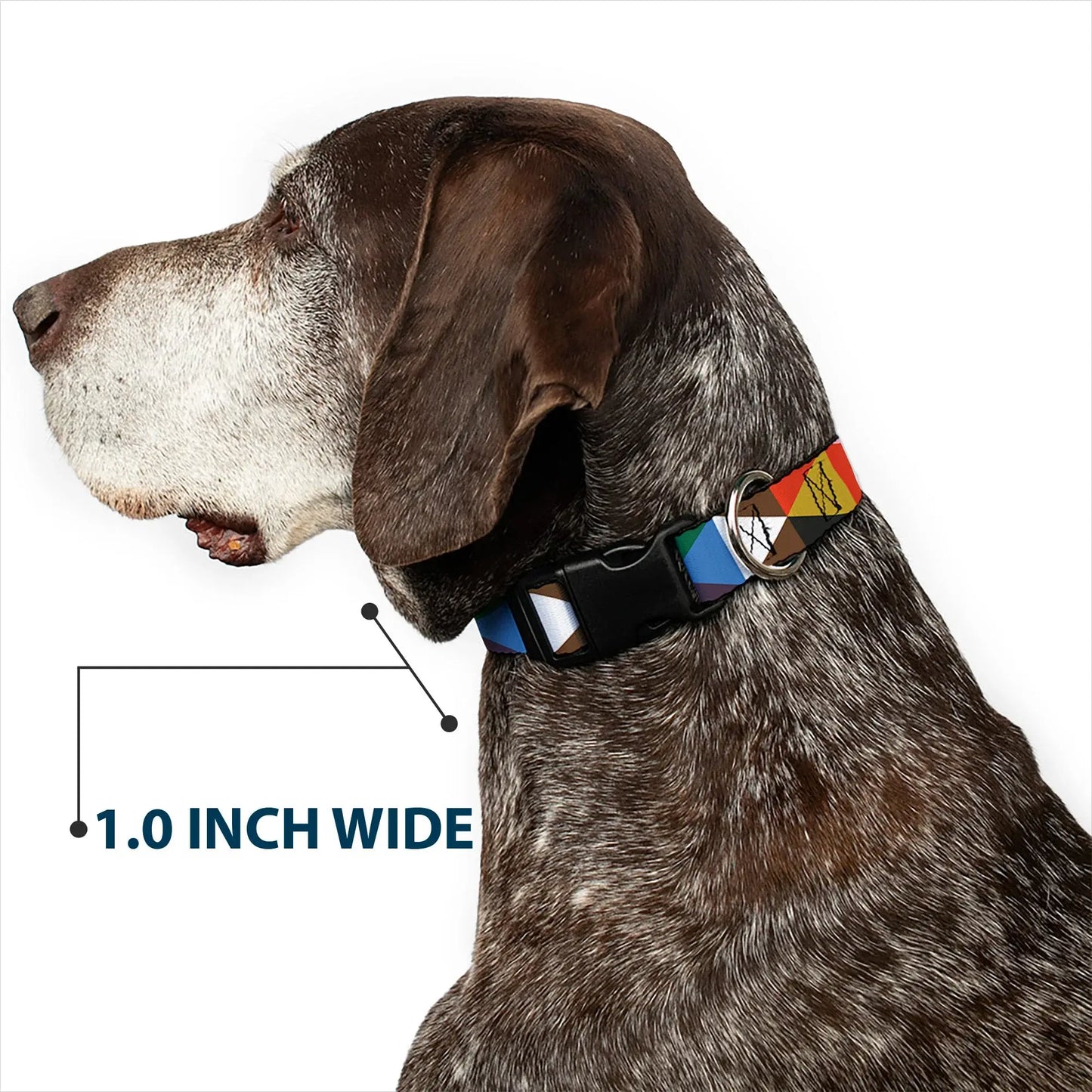 Plastic Clip Collar - Geometric Triangle Blocks Multi Color - Buckle-Down - Flyclothing LLC