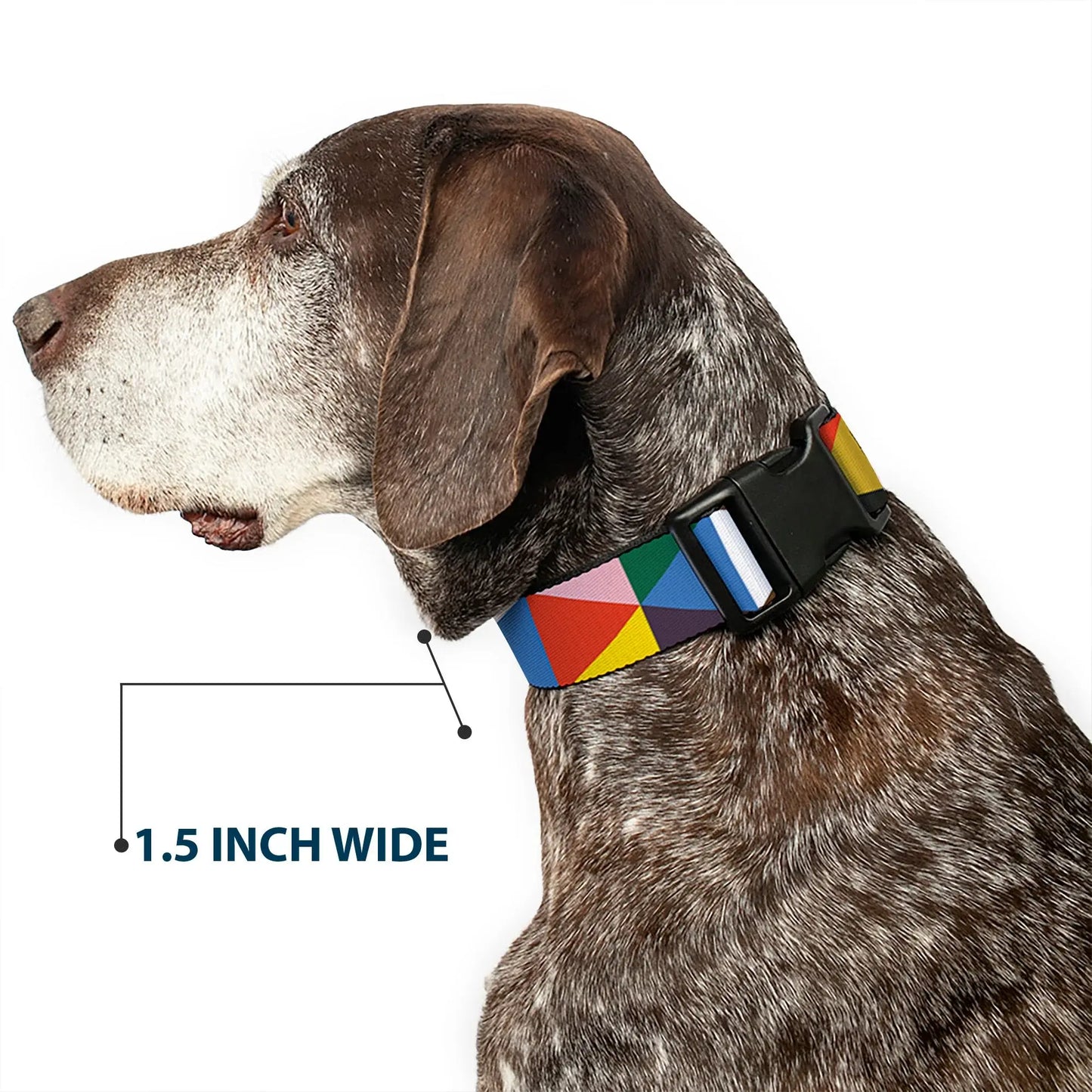 Plastic Clip Collar - Geometric Triangle Blocks Multi Color - Buckle-Down - Flyclothing LLC