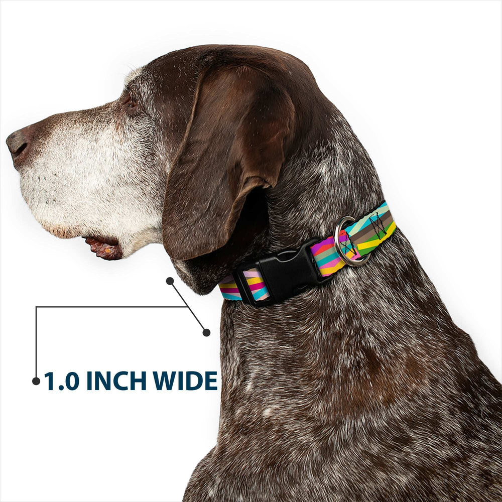 Plastic Clip Collar - Geometric10 Multi Color - Buckle-Down - Flyclothing LLC