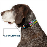 Plastic Clip Collar - Geometric10 Multi Color - Buckle-Down - Flyclothing LLC