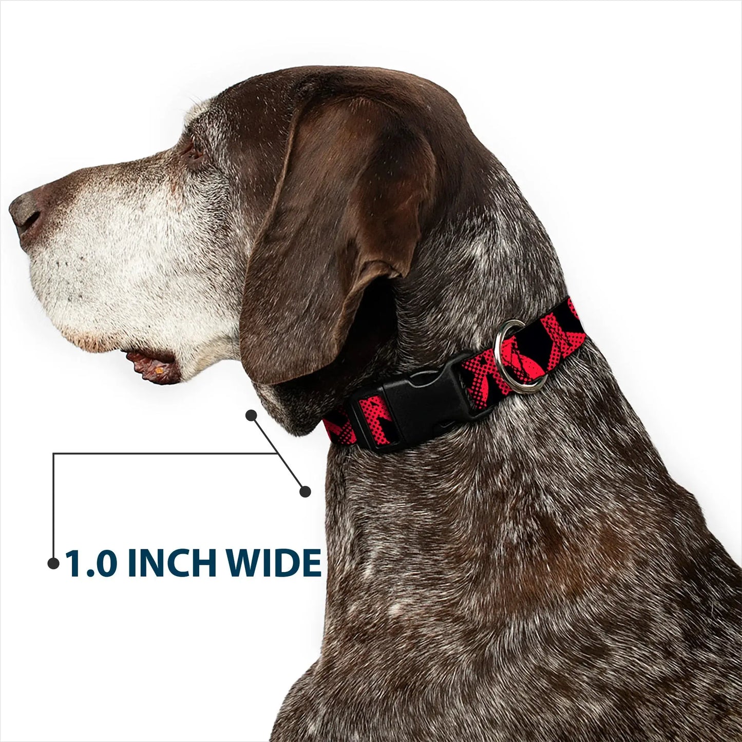 Plastic Clip Collar - Peace Dots Black/Fuchsia - Buckle-Down - Flyclothing LLC