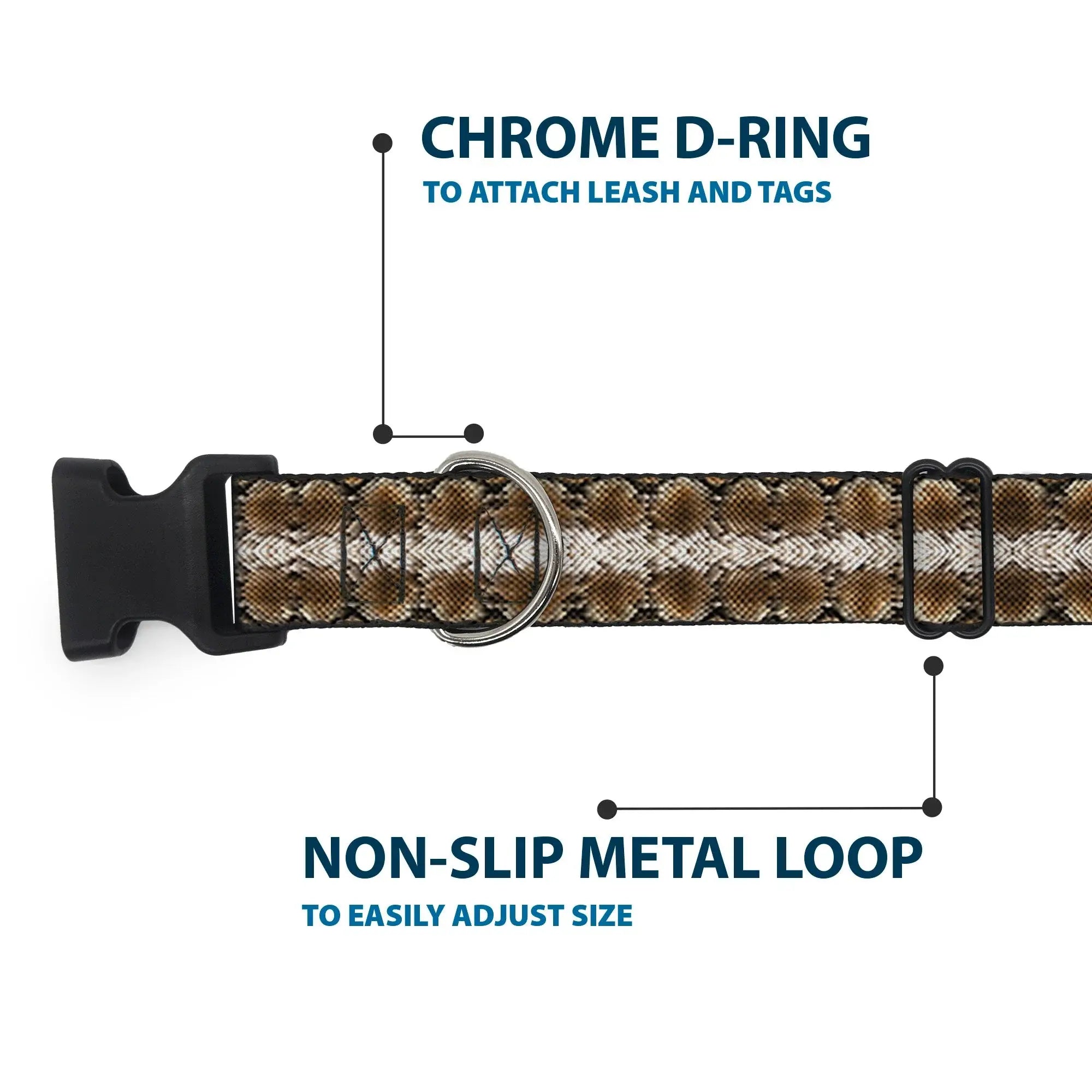 Plastic Clip Collar - Snake Skin 2 - Buckle-Down - Flyclothing LLC