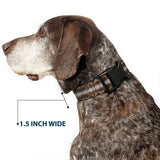 Plastic Clip Collar - Snake Skin 2 - Buckle-Down - Flyclothing LLC