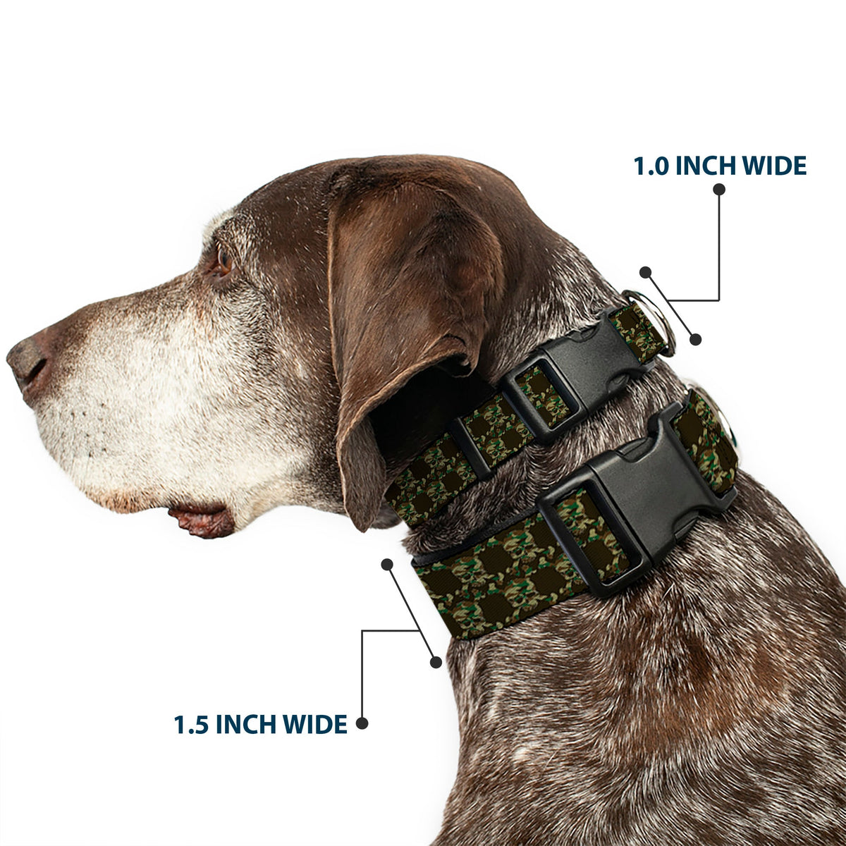Plastic Clip Collar - Top Skulls Black/Camo Olive - Buckle-Down - Flyclothing LLC