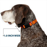 Plastic Clip Collar - BUCKLE-DOWN Shapes Red/Orange - Buckle-Down - Flyclothing LLC