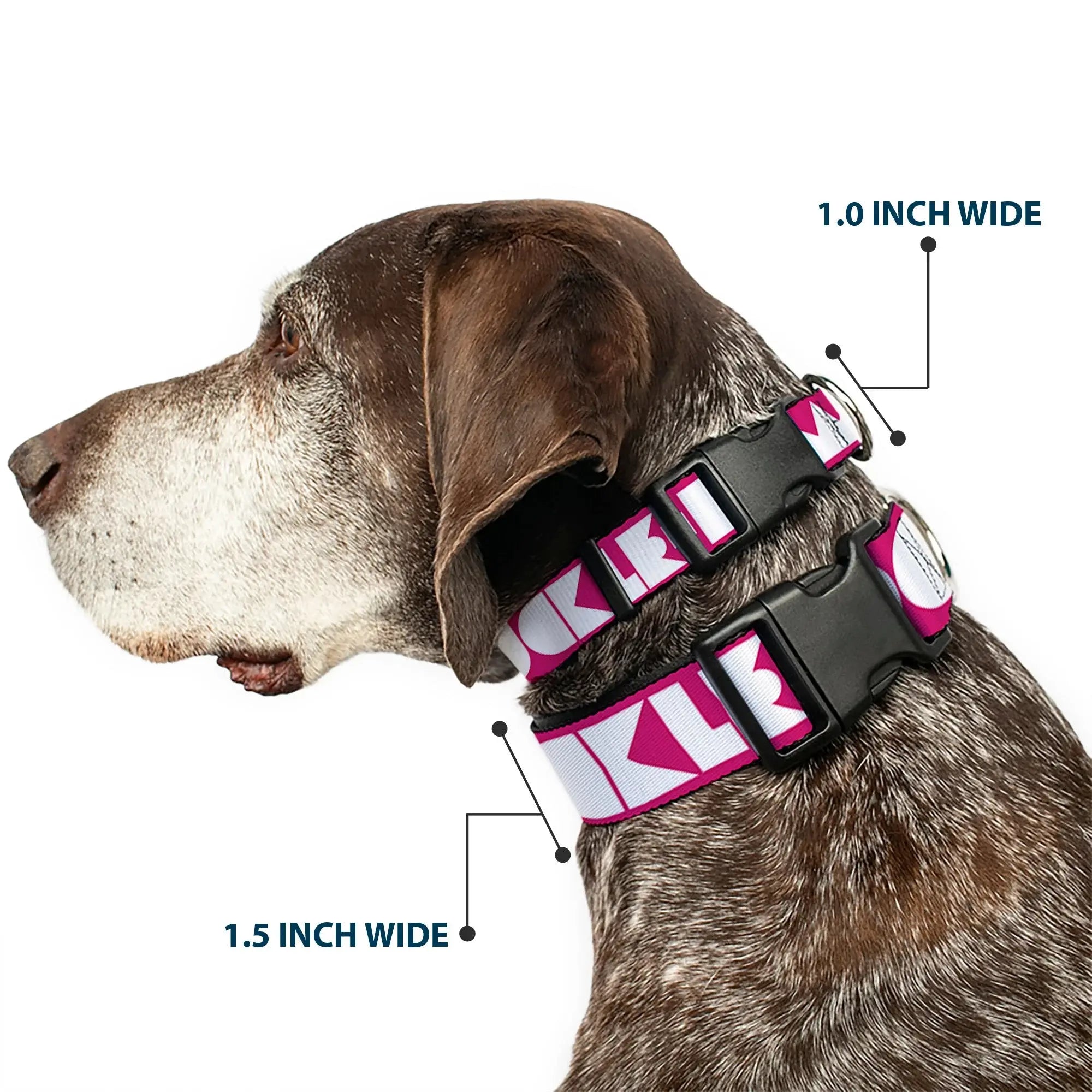 Plastic Clip Collar - BUCKLE-DOWN Shapes Hot Pink/White - Buckle-Down - Flyclothing LLC