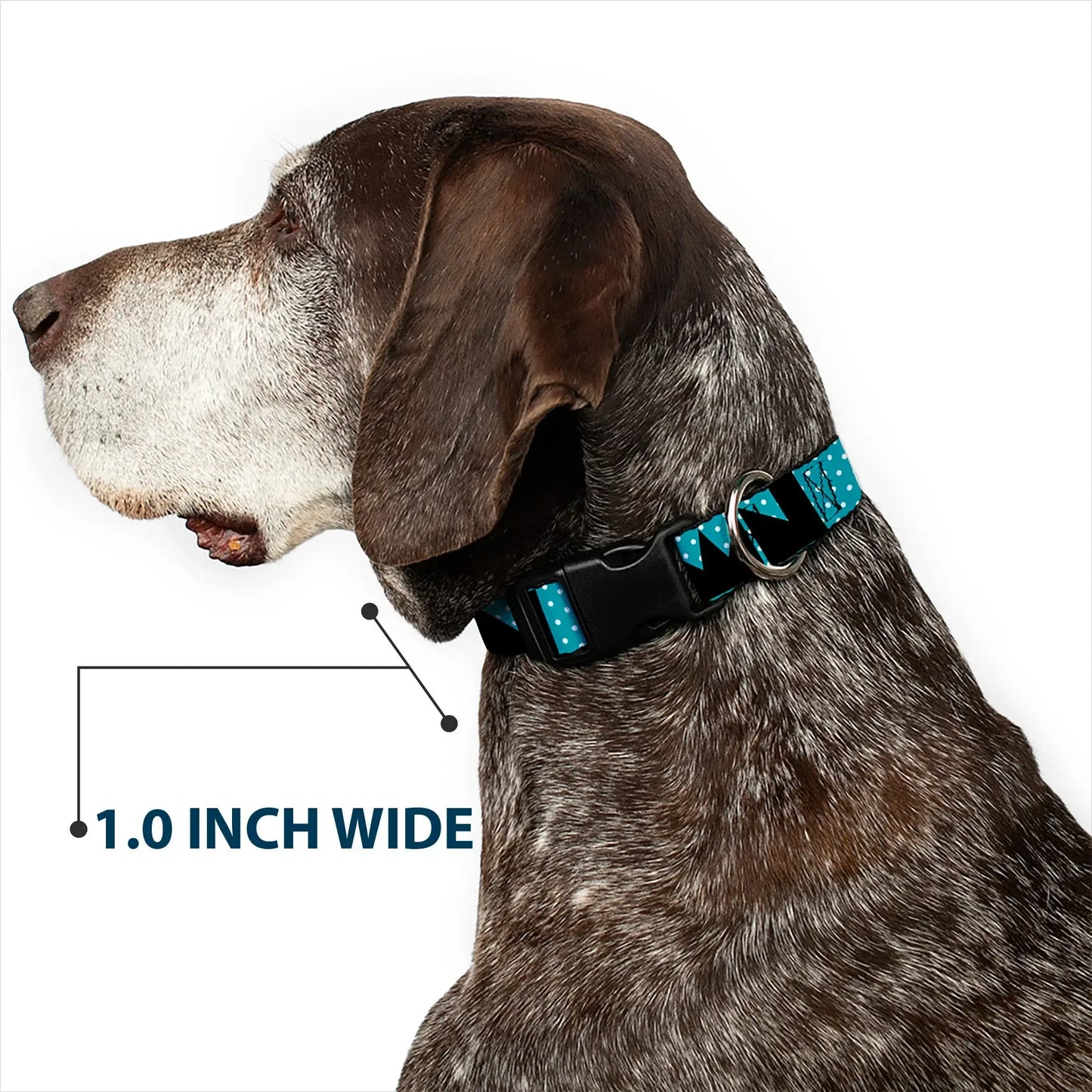Plastic Clip Collar - BUCKLE-DOWN Shapes Dot Turquoise/White/Black - Buckle-Down - Flyclothing LLC