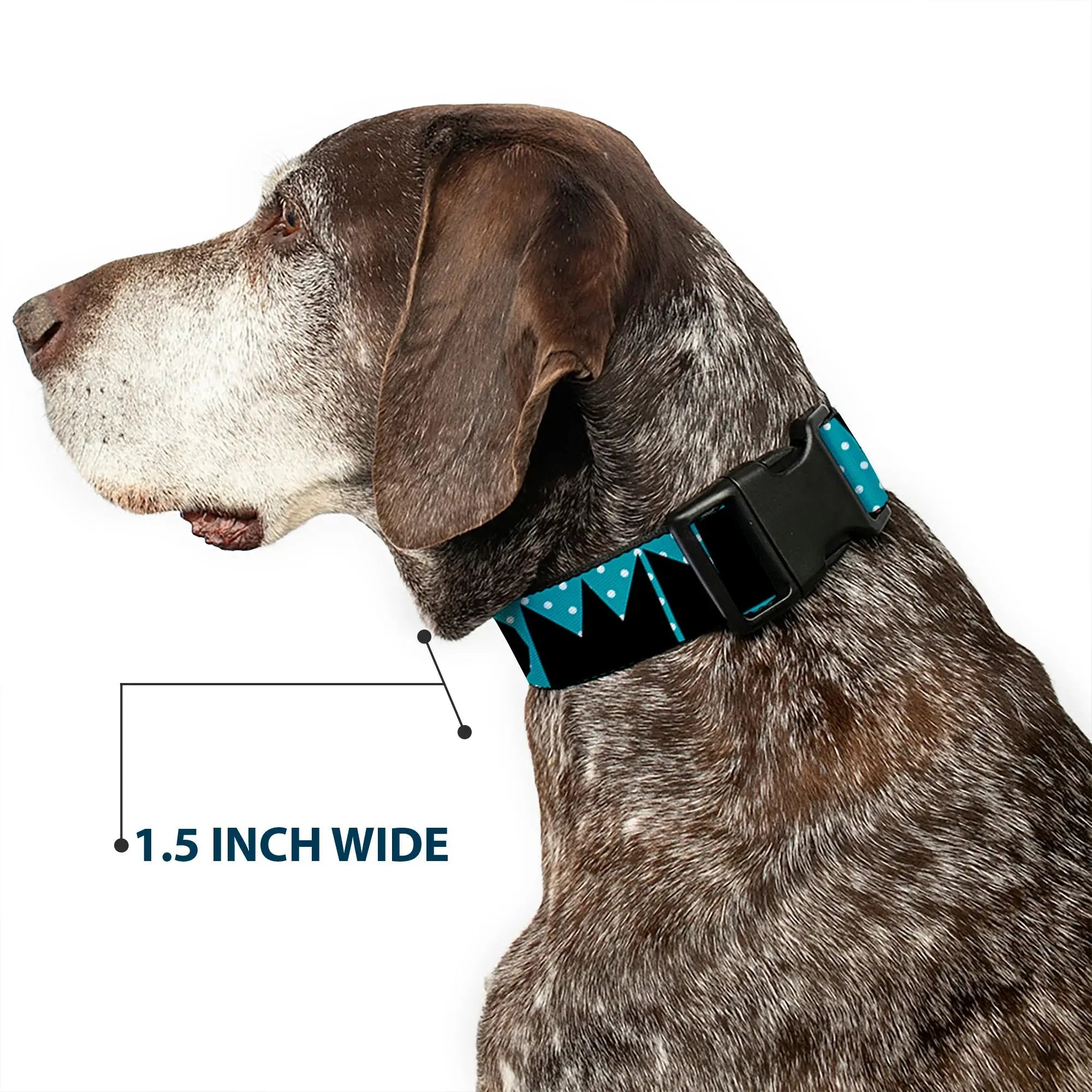 Plastic Clip Collar - BUCKLE-DOWN Shapes Dot Turquoise/White/Black - Buckle-Down - Flyclothing LLC
