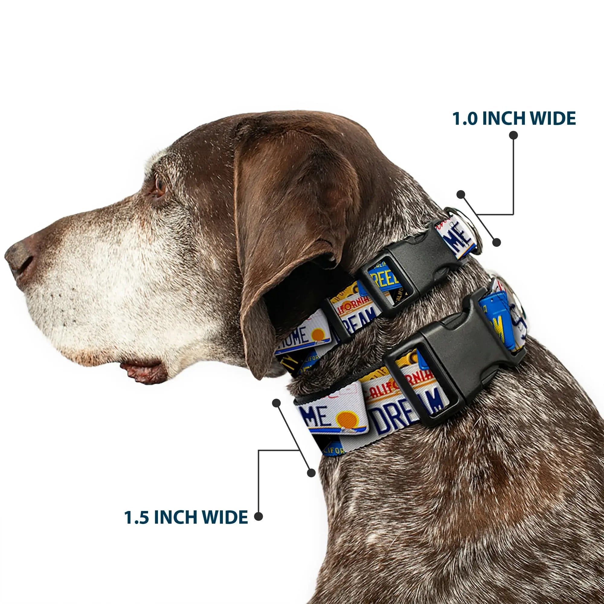 Plastic Clip Collar - Cali License Plates Stacked - Buckle-Down - Flyclothing LLC
