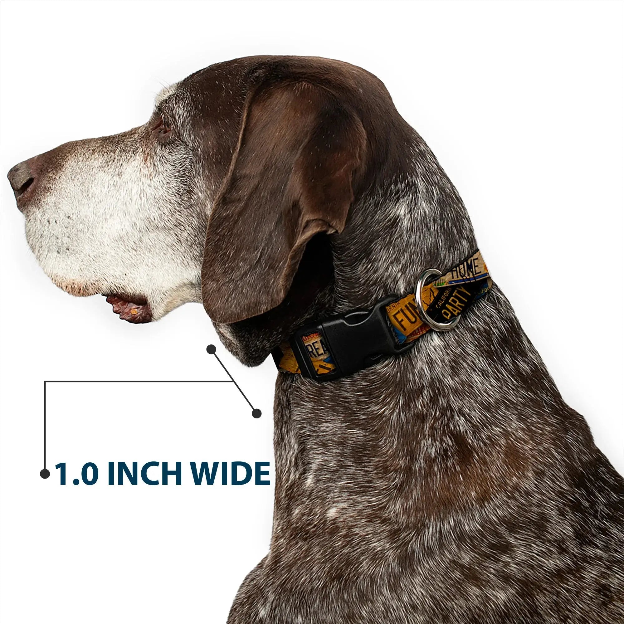 Plastic Clip Collar - Cali License Plates Stacked Vintage - Buckle-Down - Flyclothing LLC