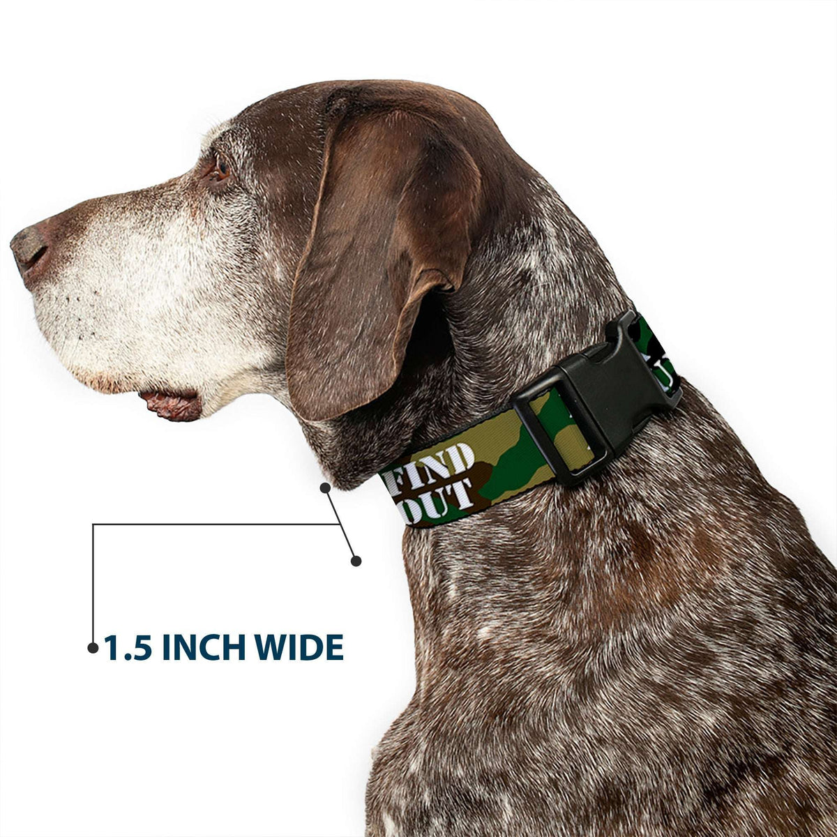 Plastic Clip Collar - FAFO FUCK AROUND & FIND OUT Stencil Camo/White - Buckle-Down - Flyclothing LLC