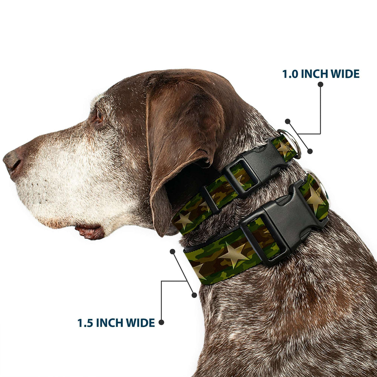 Plastic Clip Collar - Star Camo Olive/Gold - Buckle-Down - Flyclothing LLC