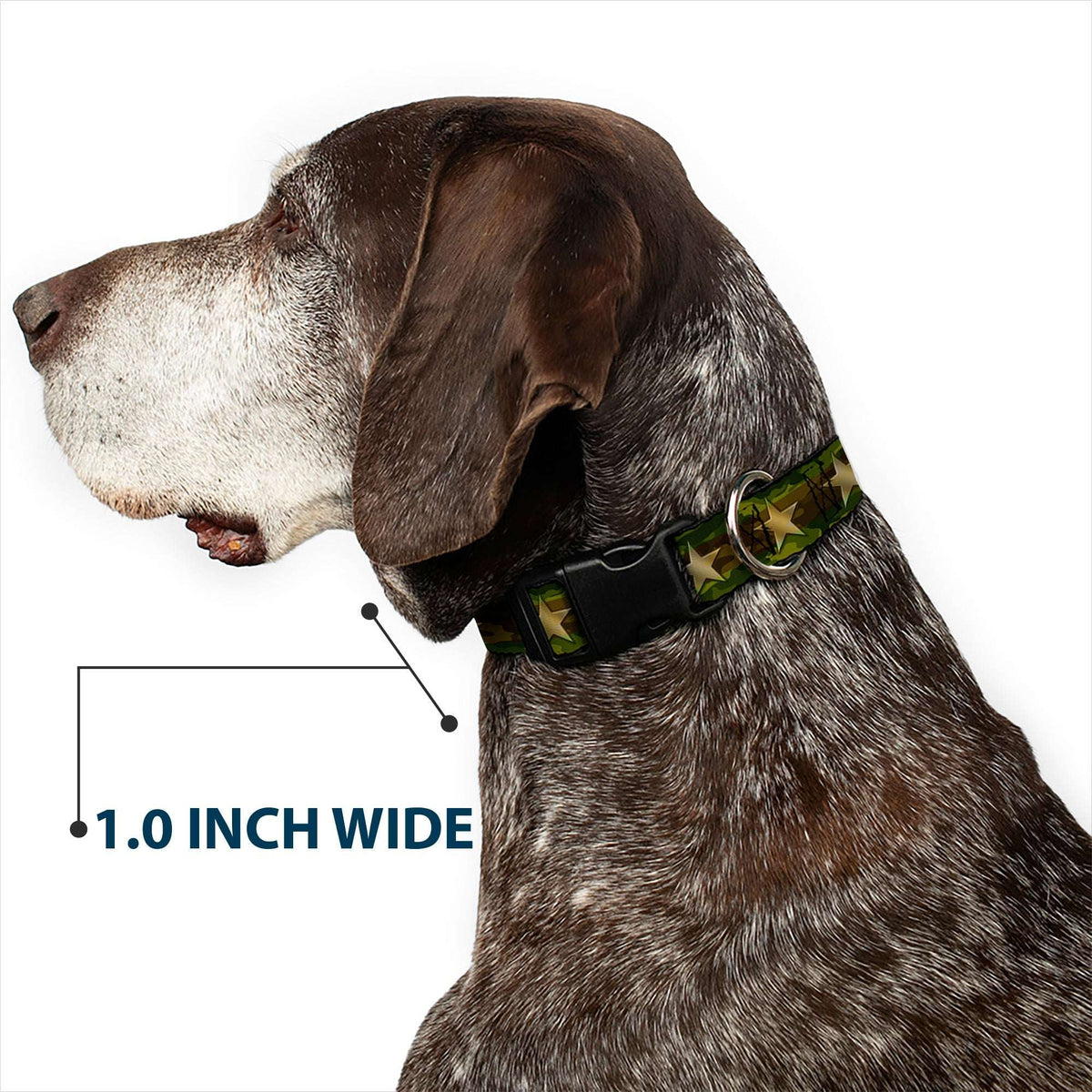 Plastic Clip Collar - Star Camo Olive/Gold - Buckle-Down - Flyclothing LLC