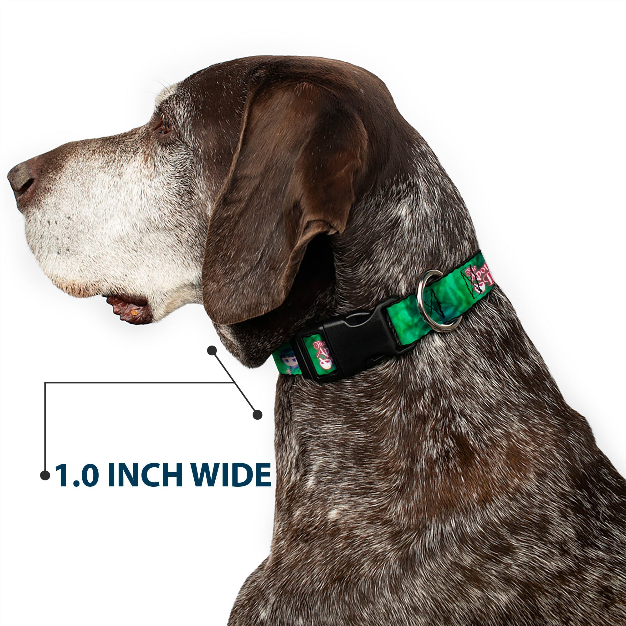 Plastic Clip Collar - THE APOTHECARY DIARIES Maomao Grinding Pose and Title Logo Greens