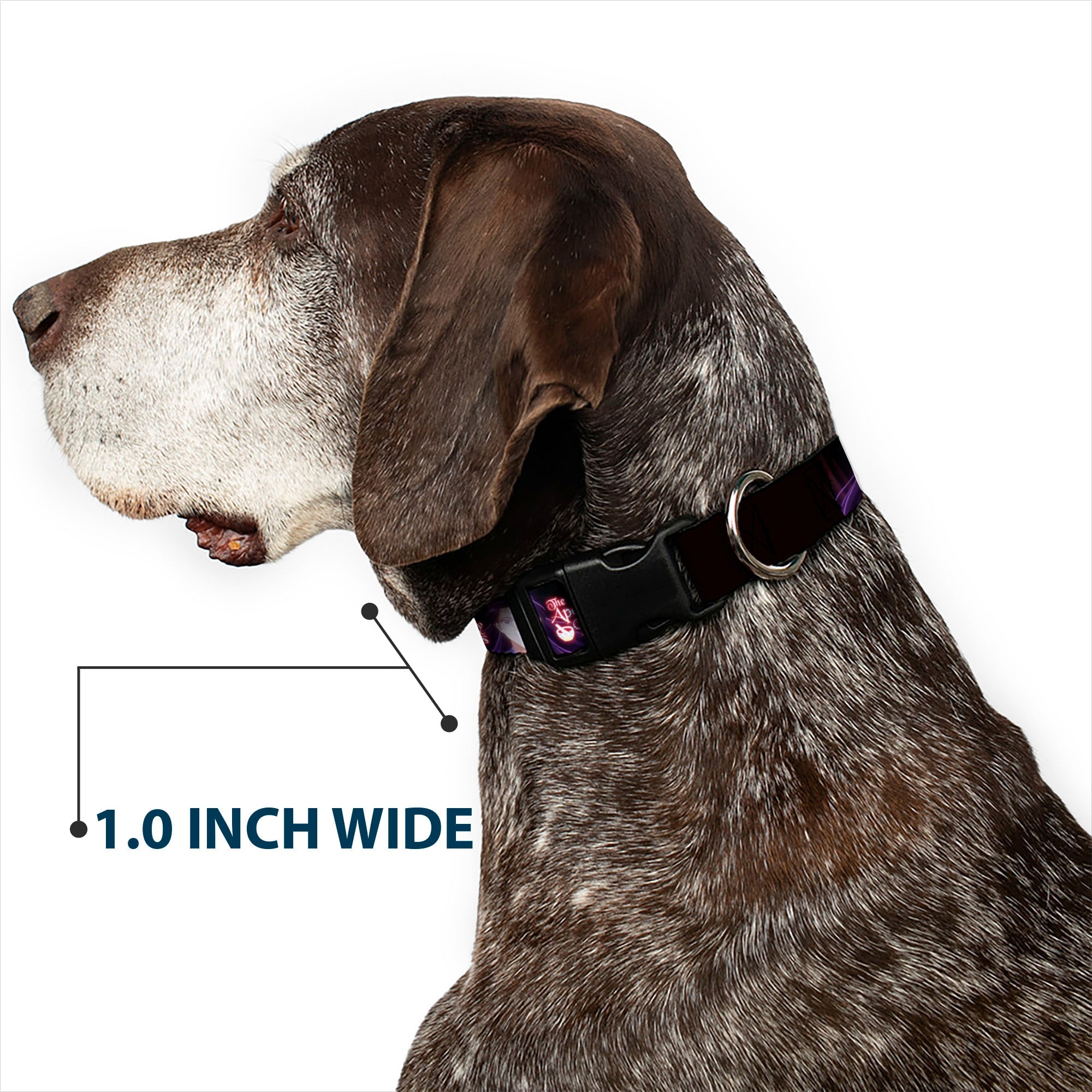 Plastic Clip Collar - THE APOTHECARY DIARIES Jinshi Pose and Title Logo Black