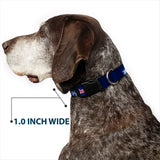 Plastic Clip Collar - THE APOTHECARY DIARIES Maomao Hands Out Pose and Title Logo Purples