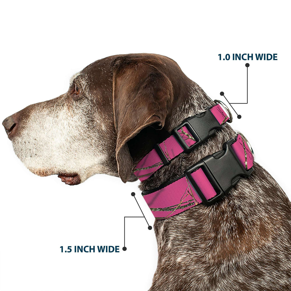 Plastic Clip Collar - Mossy Oak Country Roots Camo Fuchsia - Buckle-Down - Flyclothing LLC
