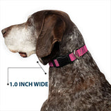 Plastic Clip Collar - Mossy Oak Country Roots Camo Fuchsia - Buckle-Down - Flyclothing LLC