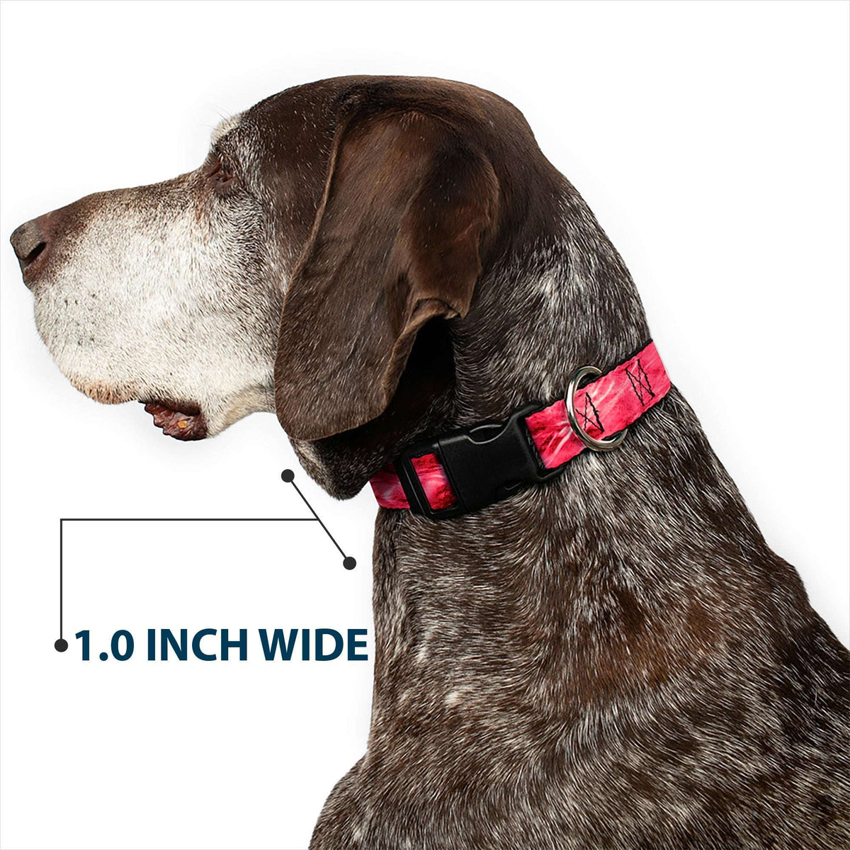 Plastic Clip Collar - Mossy Oak Elements Anemone Agua Camo Pink
